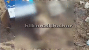 स्कूल के पास एक बॉक्स में गाय के छोटे बछड़े का कटा सिर मिलने से क्षेत्र में मचा हड़कंप देखे वीडियो